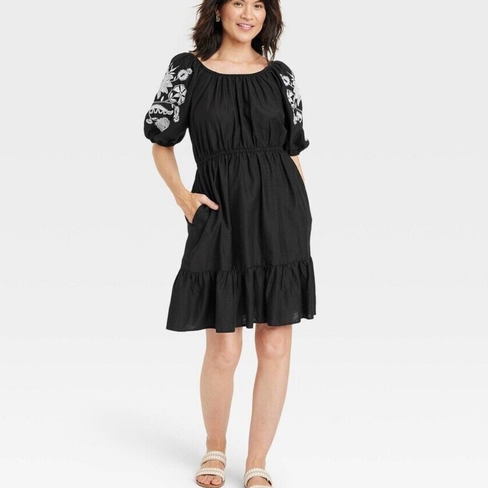 Black Dress with Embroidered Sleeves